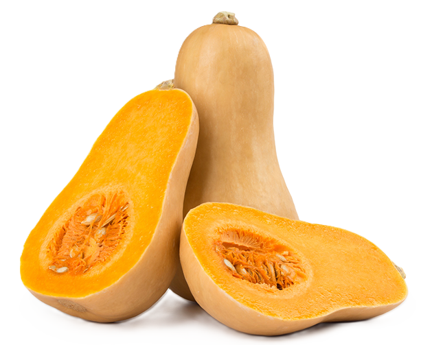 Courge Butternut