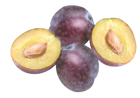Prunes