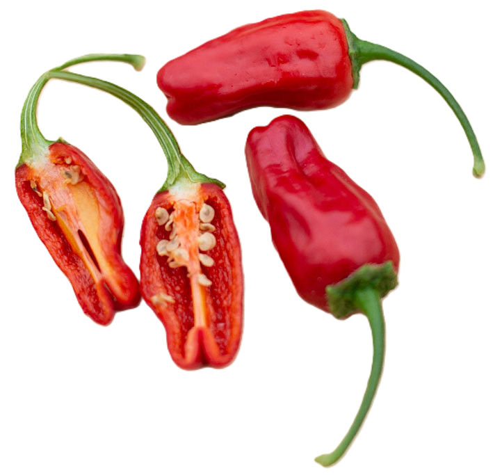 Piment Fort