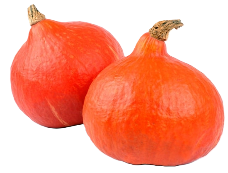 Potimarron
