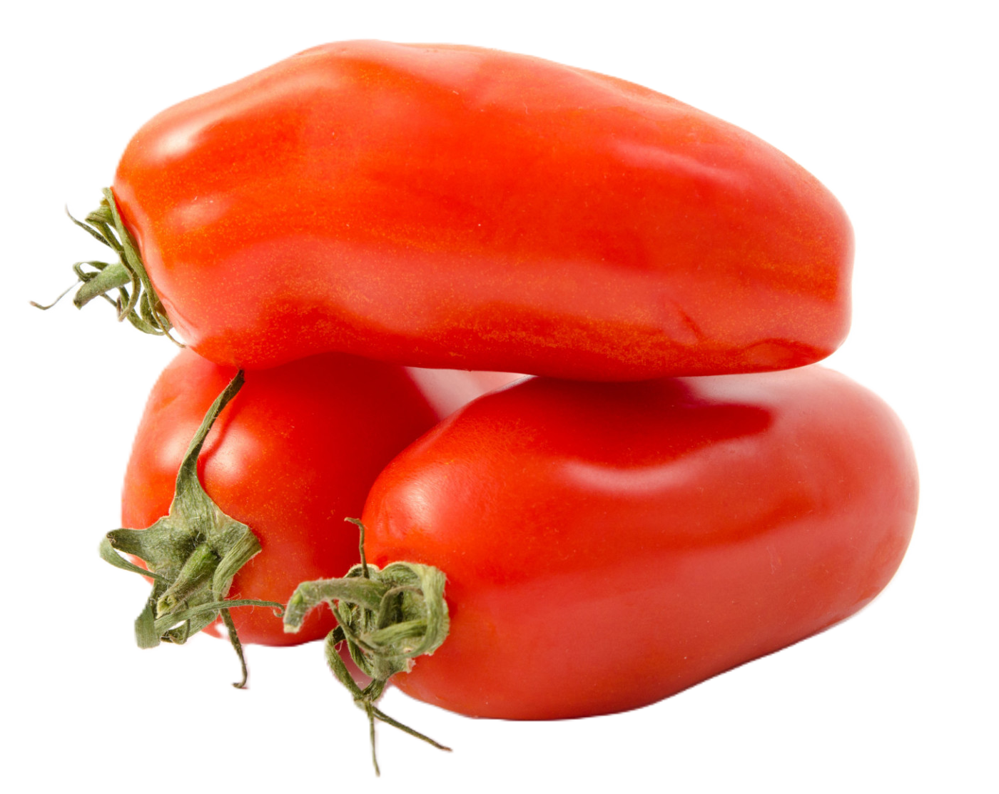 Tomate Allongée